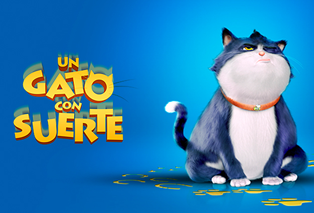 Un gato con suerte